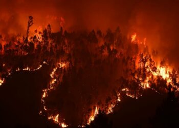 Es necesaria otra política forestal para evitar incendios como el de Portugal