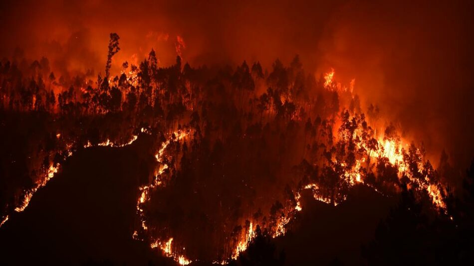 Es necesaria otra política forestal para evitar incendios como el de Portugal