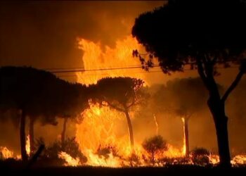 El fuego arrasa Doñana