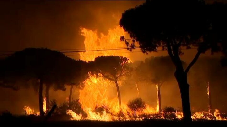 El fuego arrasa Doñana