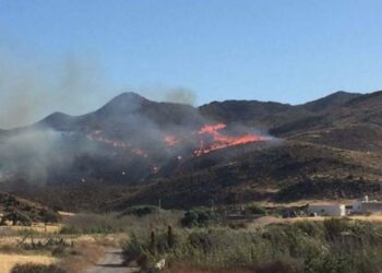 EQUO reclama más medidas contra los incendios ante su intensificación a causa de cambio climático