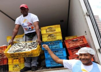 Clap producen alimentos para el pueblo venezolano