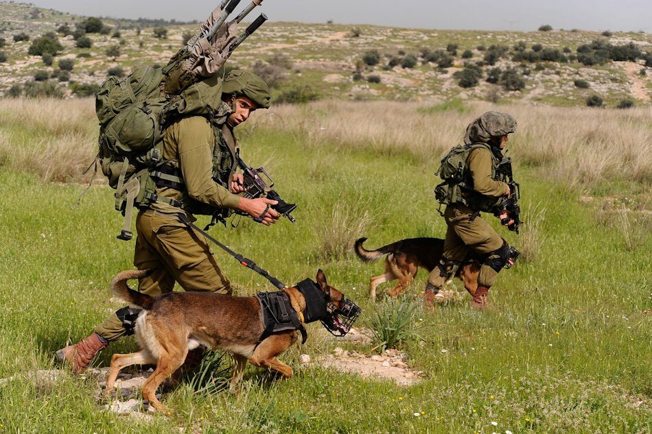 Un grupo de 19 soldados israelíes penetra en el territorio del Líbano