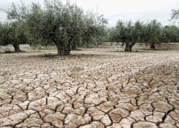 EQUO llama a tomar medidas para mitigar los efectos de la sequía en Andalucía y no seguir ahondando en ella en el futuro