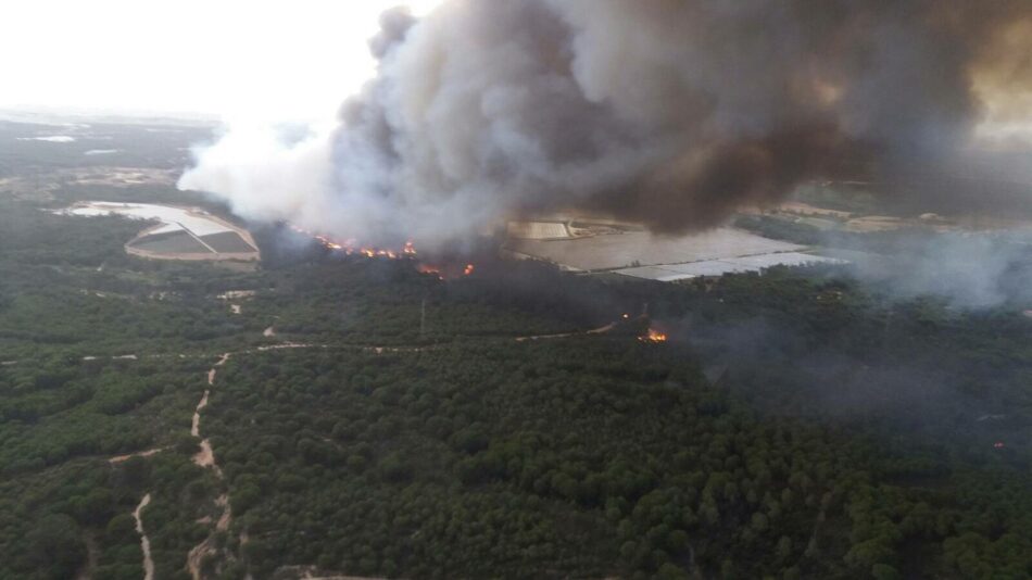 EQUO agradece el trabajo de los que trabajan en el incendio de Doñana y pide que todo el peso de la ley caiga sobre los responsables