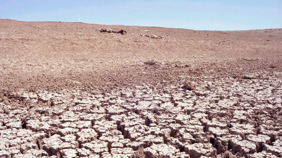 El territorio español afronta un proceso de desertificación preocupante