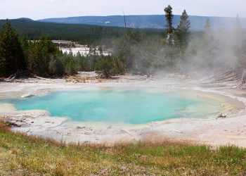 Este raro microbio de Yellowstone puede dar con la clave de la aparición de la vida extraterrestre