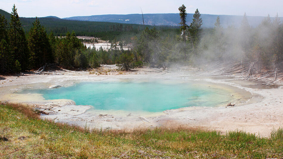 Este raro microbio de Yellowstone puede dar con la clave de la aparición de la vida extraterrestre