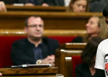 Anna Gabriel (CUP): “Nos sorprende que Ada Colau venga de la desobediencia y ahora su discurso sea el del orden”