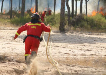 EQUO espera que el Gobierno aproveche la prórroga de la Unesco para atajar definitivamente las amenazas a Doñana