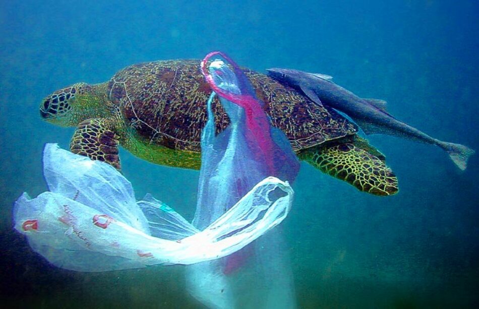 Equo insta al Gobierno a cumplir la Directiva Europea que regula el uso de bolsas de plástico