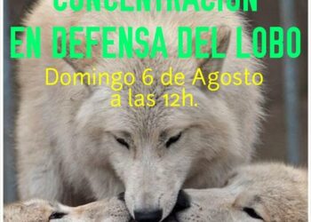 La extrema derecha organiza una concentración a favor del lobo en Leciñena