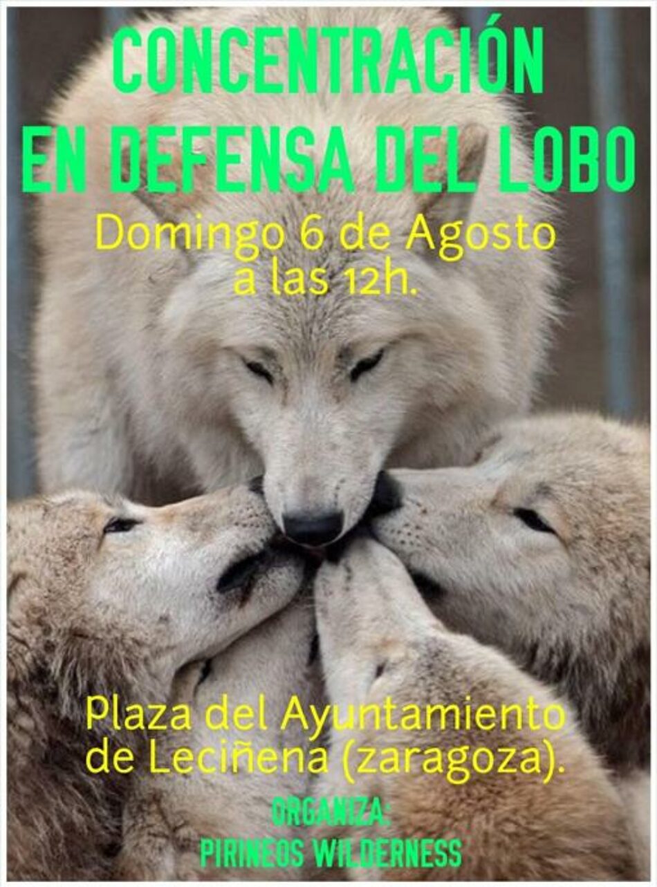 La extrema derecha organiza una concentración a favor del lobo en Leciñena