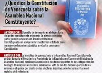 Algunas reflexiones sobre la elección de integrantes a la Asamblea nacional Constituyente de Venezuela