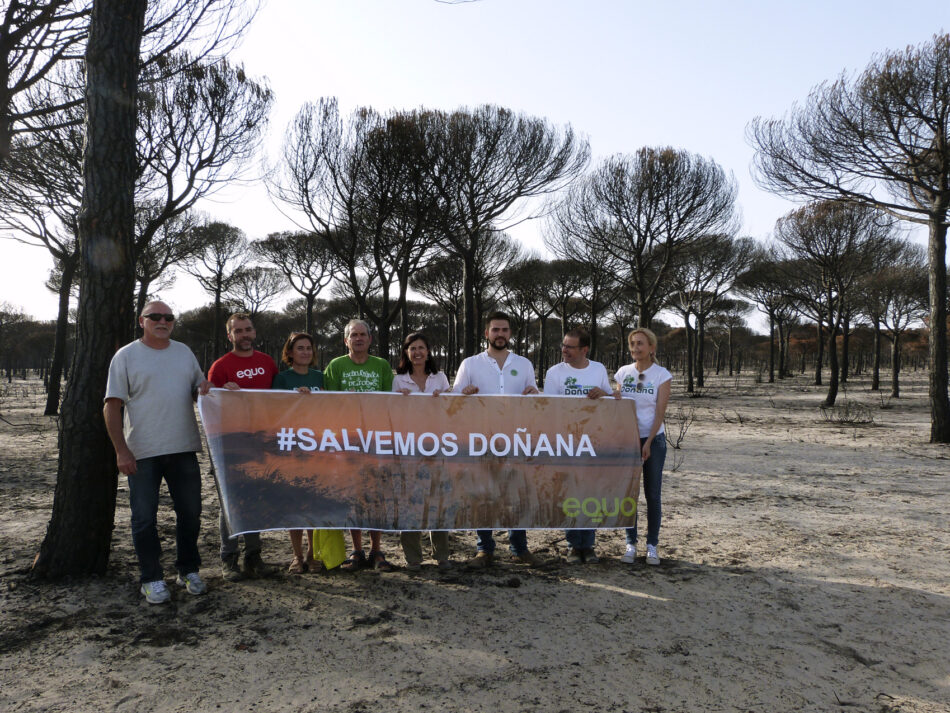 EQUO plantea con colectivos ecologistas la opción de blindar Doñana por ley