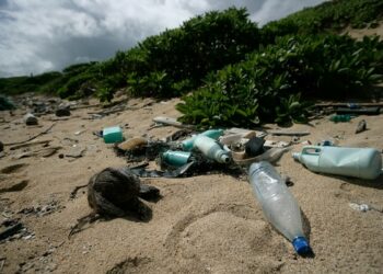 Un estudio de la Generalitat afirma que cuando se vuelvan a devolver los envases a la tienda, se acabará con casi el 90% de abandono de envases de bebidas en el territorio