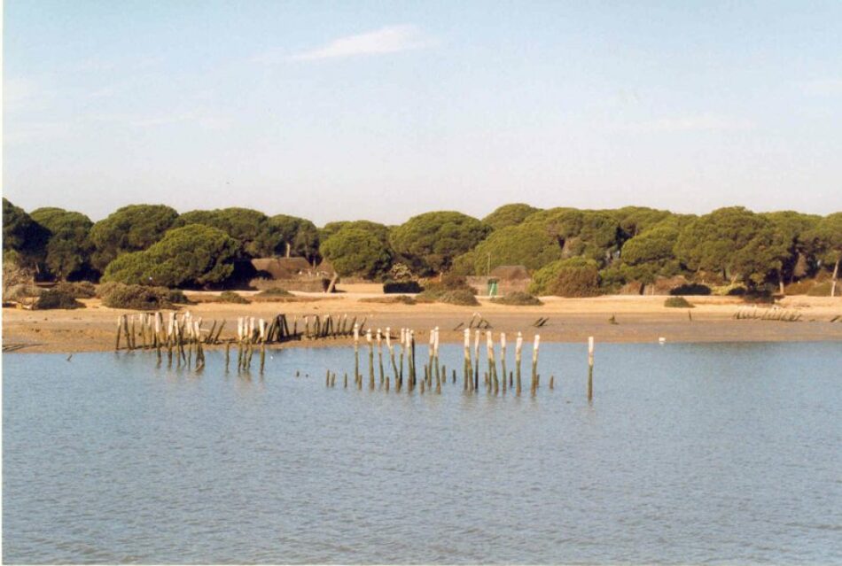 Moción de Participa para que se intensifique la lucha contras las amenazas que sufre Doñana