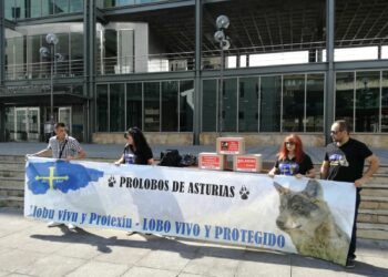 30.000 firmas contra las matanzas de lobos