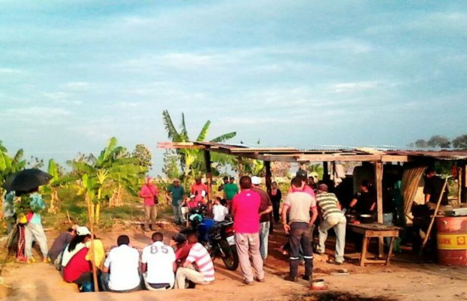 Venezuela: Campesinos de Barinas rescatan 5 mil hectáreas de un terrateniente financista de la violencia