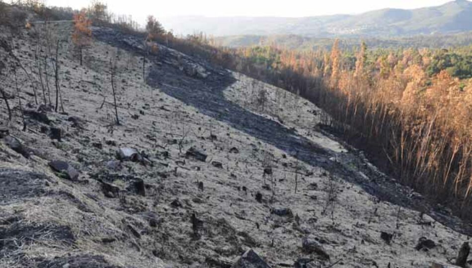 Una Proposición de Ley con medidas urgentes para conservar los suelos forestales afectados por incendios