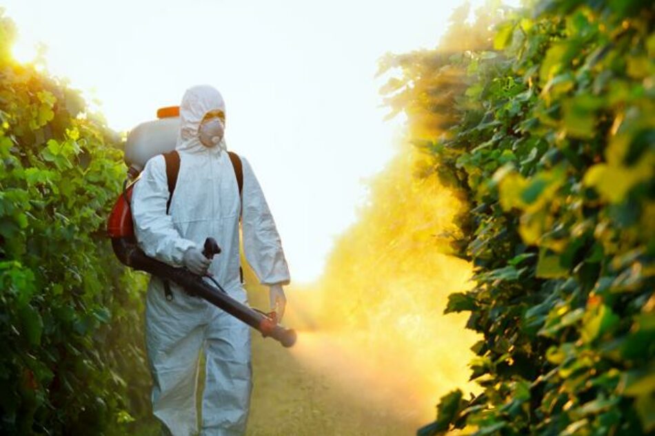 Ecologistas en Acción pide al Parlamento Europeo que rechace los criterios sobre disruptores endocrinos adoptados por el grupo de expertos en pesticidas