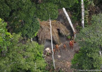 Brasil. Agroganaderos borrachos atacan a machetazos un poblado indígena y la policía sólo mira