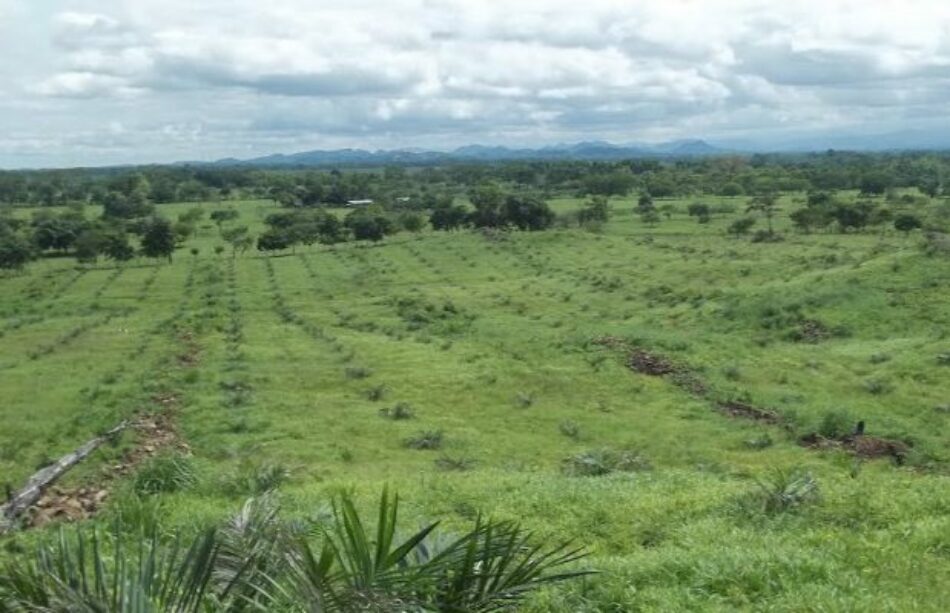 Colombia. Un 1 % de propietarios ocupa el 80 % de las tierras del país