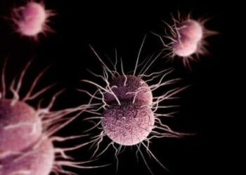 OMS alerta sobre enfermedad resistente a los antibióticos