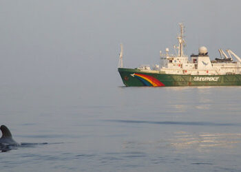 Greenpeace demanda a la ONU santuarios marinos para proteger la amenazada biodiversidad de los océanos