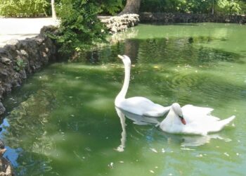 IU denuncia que los animales de los parques históricos están “abandonados a su suerte” por “falta de control municipal”