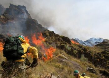 Podemos pide a Susana Díaz revertir los recortes en prevención de incendios para evitar nuevos casos