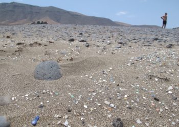 EQUO reclama medidas urgentes para reducir la presencia de plásticos en las playas españolas
