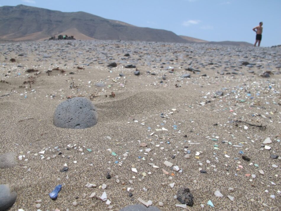 EQUO reclama medidas urgentes para reducir la presencia de plásticos en las playas españolas