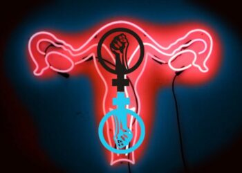 Argentina. El aborto legal, deuda de la democracia