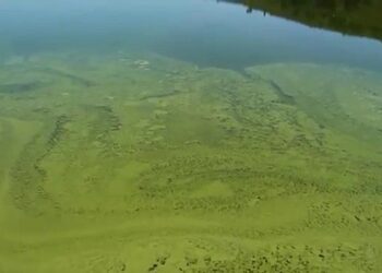 La SGHN pide la anulación de la DIA favorable al proyecto de Gas Natural Fenosa para la Central Hidráulica Reversible Conchas-Salas