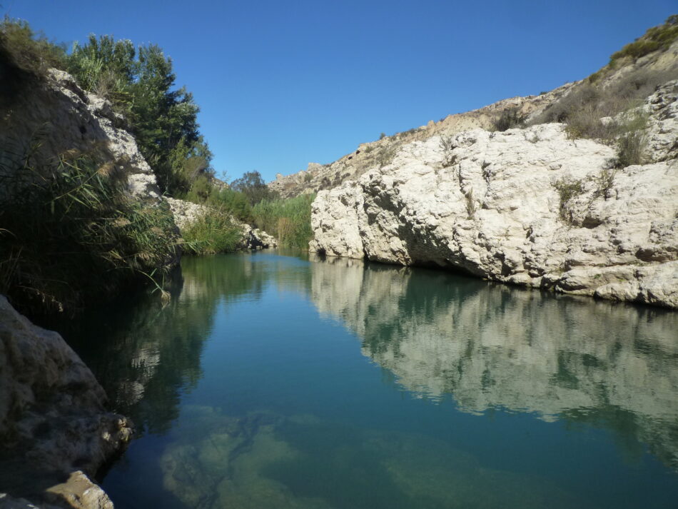 Cierre cibercampaña Salvemos el Rio Aguas