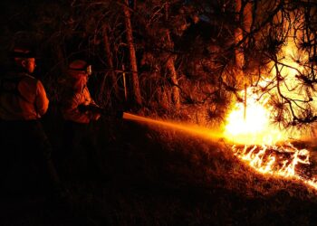 EQUO Galicia pide eficacia a la Xunta para atajar la oleada de incendios forestales
