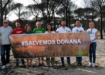 EQUO insiste en solicitar el cierre cautelar de la carbonería donde supuestamente se originó el incendio de Doñana