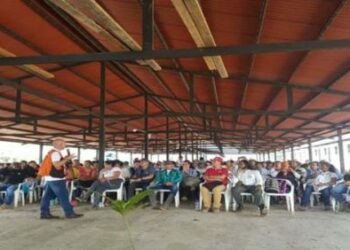 Miembros de las FARC-EP se reintegrarán con programa ambiental