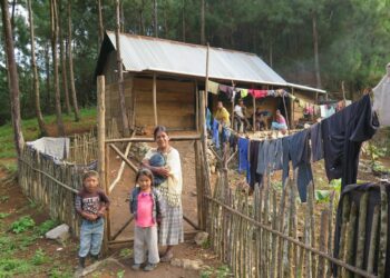 Sólo 22 países de 194 han ratificado el Convenio Internacional que protege los territorios de los pueblos indígenas en 29 años