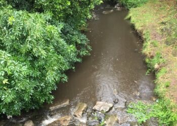 Una nueva sanción por vertidos al río Arlos al Ayuntamiento de Corvera