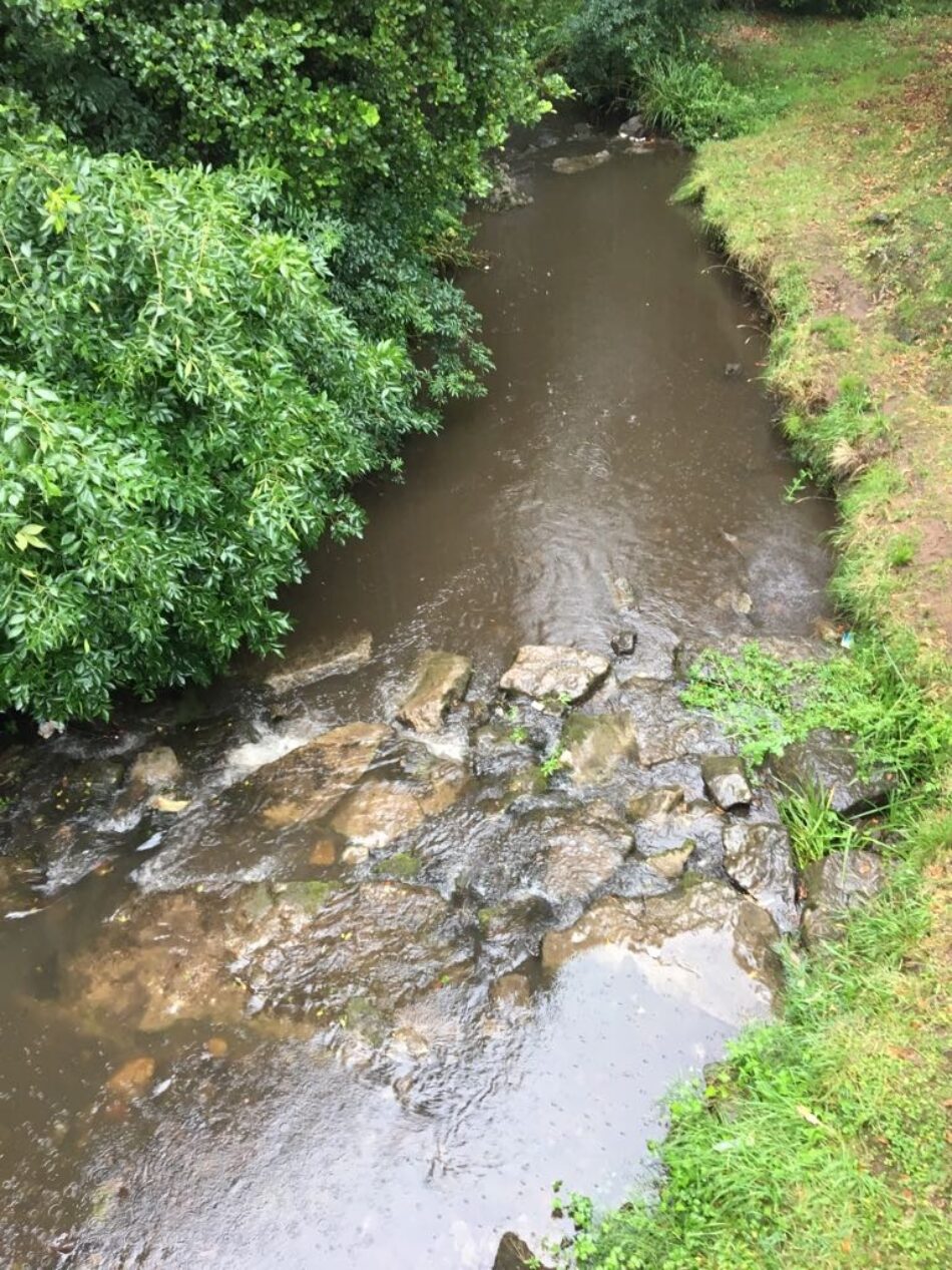 Una nueva sanción por vertidos al río Arlos al Ayuntamiento de Corvera