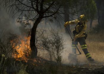 Piden que los incendios forestales dejen de quedar impunes