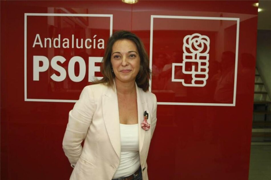 Ganemos Córdoba reprocha a PSOE e IU haber llegado a acuerdos con la derecha