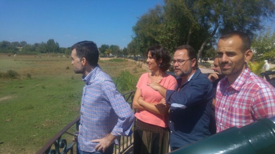 IU reclama una “presencia permanente” de la Comisión Europea en Doñana para “contrastar sobre el terreno” la situación del Parque