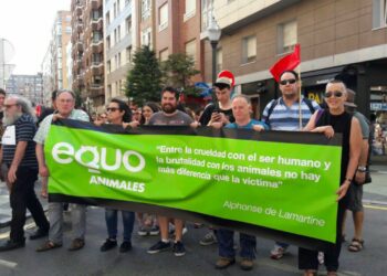 Equo plantea abrir en Gijón un debate ciudadano sobre el modelo de ciudad, animales de compañía y sus implicaciones
