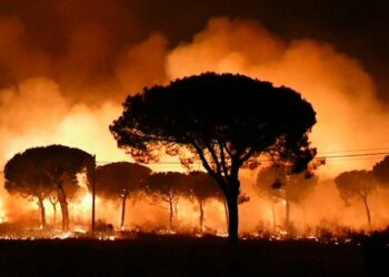 Imponen 7.000 euros de fianza a EQUO para poder personarse como acusación popular en la investigación judical por el incendio de Doñana