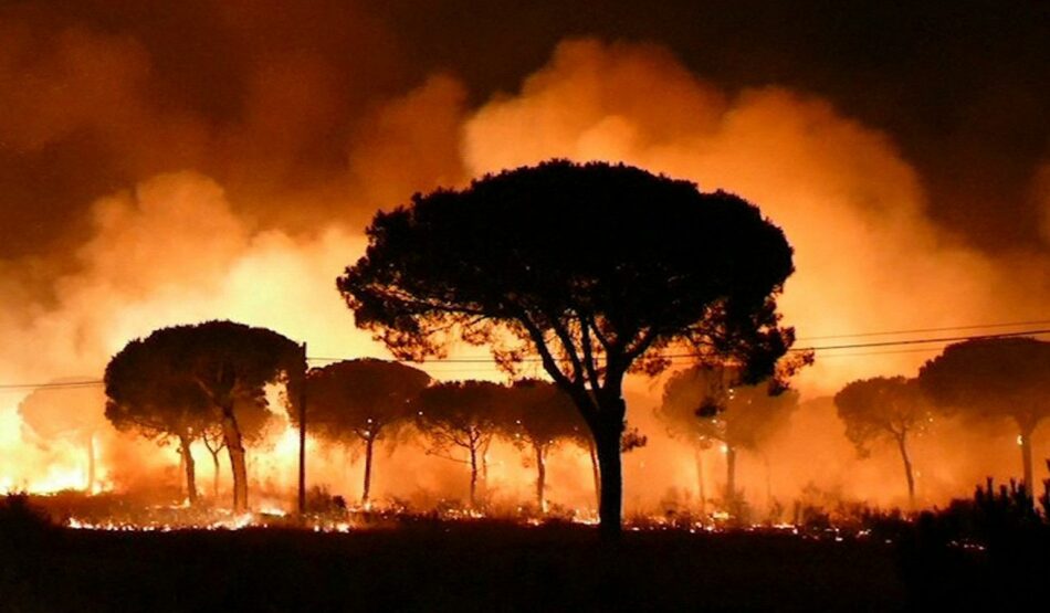 Imponen 7.000 euros de fianza a EQUO para poder personarse como acusación popular en la investigación judical por el incendio de Doñana