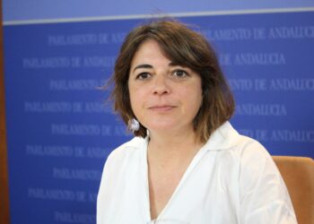 IU pedirá a Susana Díaz que incluya a los ayuntamientos en el debate sobre modelo de financiación autonómica