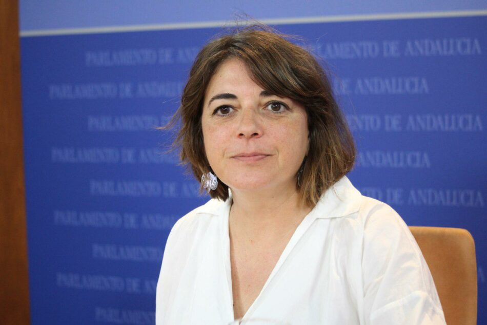 IU pedirá a Susana Díaz que incluya a los ayuntamientos en el debate sobre modelo de financiación autonómica